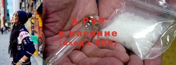 стафф Арсеньев
