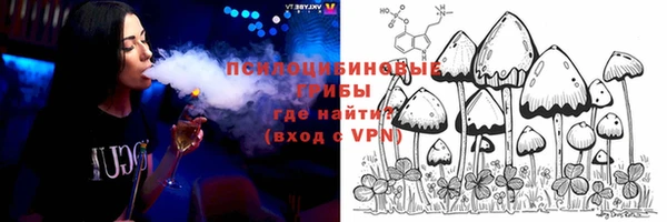стафф Алексин