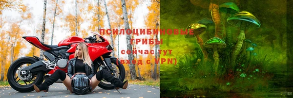 гидра Алексеевка