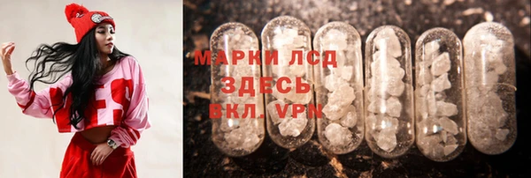 стафф Алексин