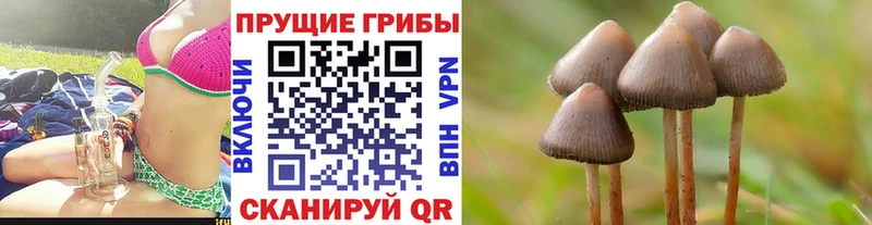 Купить где  Тотьма  Галлюциногенные грибы ЛСД 